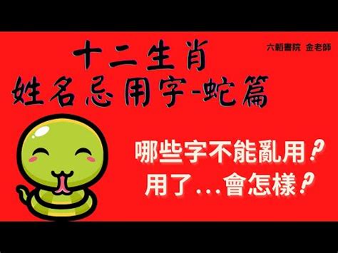 屬蛇 名字|【生肖姓名學】生肖屬蛇喜忌用字－歹命人自救會：「補八字六派。